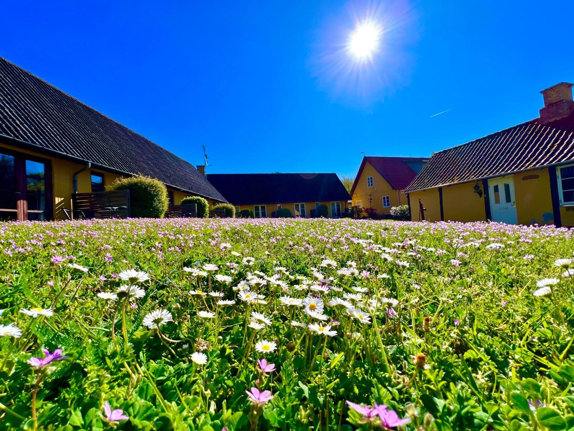 Hotel Skovly Ronne Exterior photo